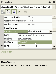  DataView.    