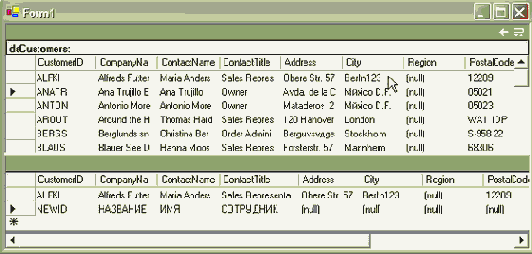  DataView.    